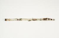 The Geoffrey Rendall Collection of Woodwind Instruments